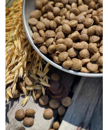 Dog feed 12 kg Fish beef Medium adult 25% - Buy Online on GoSupps.com