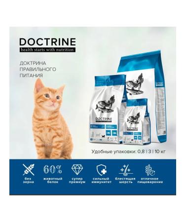DOCTRINE Dry food for kittens with salmon and white fish 10 kg - Buy Online on GoSupps.com