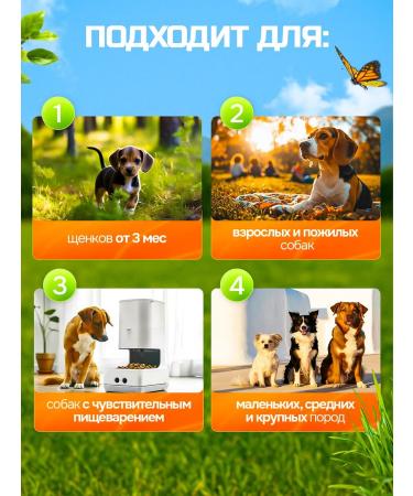 TailTime Light beef 300 grams of dogs for dogs - Buy Online on GoSupps.com