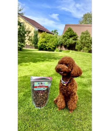 TailTime Light beef 300 grams of dogs for dogs - Buy Online on GoSupps.com