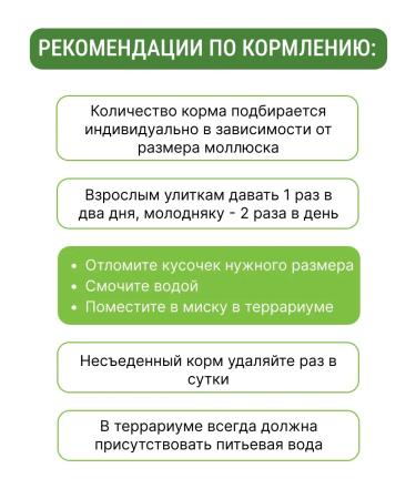 Zoomir Feed for land snails and other terrarium mollusks - Buy Online on GoSupps.com