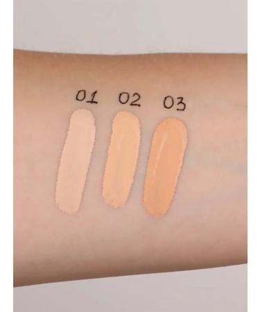 VIVIENNE SABO Classile for the face and eyes are dense tone 02 beige - Buy Online on GoSupps.com