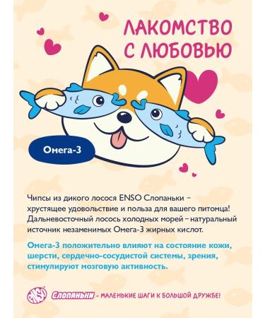 Enso Wild salmon dog treat - Buy Online on GoSupps.com