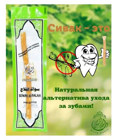 MUSK OASIS Sivak Misvak mint denture 1 pc - Buy Online on GoSupps.com