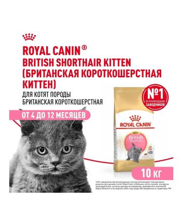 Royal Canin Dry food for kittens of a British short -haired breed