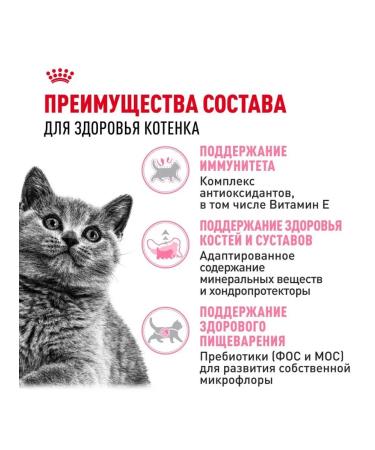 Royal Canin Dry food for kittens of a British short -haired breed - Buy Online on GoSupps.com