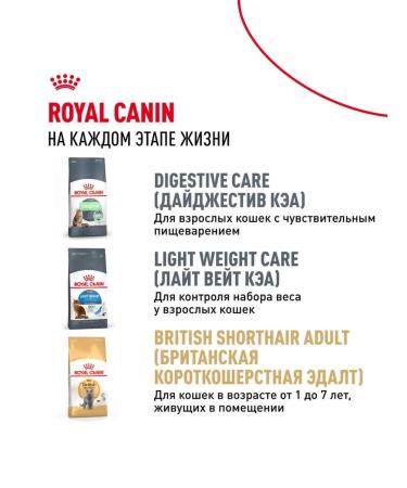Royal Canin Dry food for kittens of a British short -haired breed - Buy Online on GoSupps.com