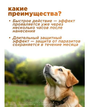 Neoterica Drops for dogs 40-60 kg - Buy Online on GoSupps.com