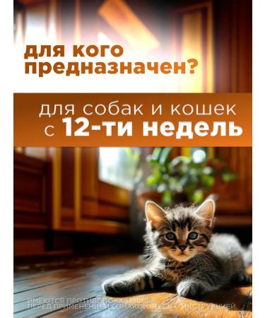 Neoterica Drops for dogs 10-25 kg - Buy Online on GoSupps.com