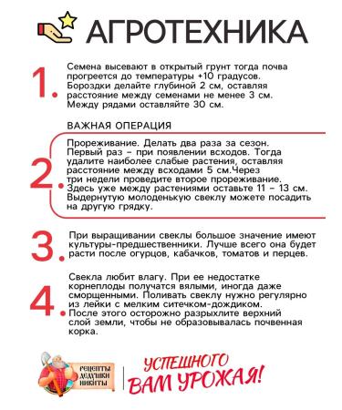 Grandpa Nikita's Recipes Beet seeds for vegetable crop 2 g 4 packages - Buy Online on GoSupps.com