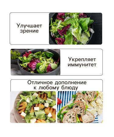 Grandpa Nikita's Recipes Salad seeds for sowing seeds of vegetables 0.5 g 3 bags - Buy Online on GoSupps.com
