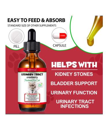 Oimmal Vitamins against urinary tract infections and kids for cats - Buy Online on GoSupps.com