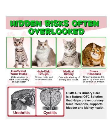 Oimmal Vitamins against urinary tract infections and kids for cats - Buy Online on GoSupps.com