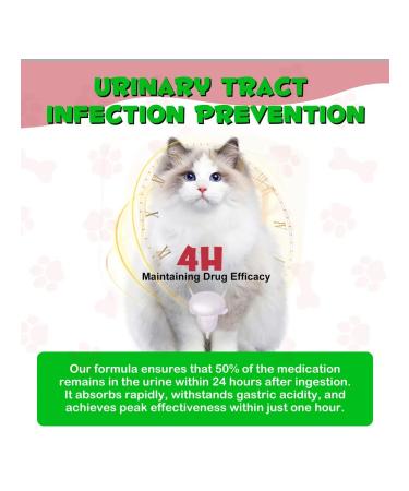 Oimmal Vitamins against urinary tract infections and kids for cats - Buy Online on GoSupps.com