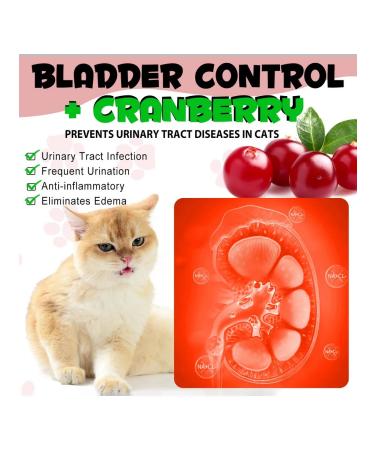 Oimmal Vitamins against urinary tract infections and kids for cats - Buy Online on GoSupps.com