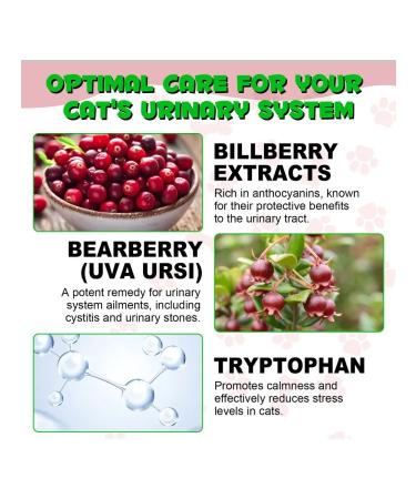 Oimmal Vitamins against urinary tract infections and kids for cats - Buy Online on GoSupps.com