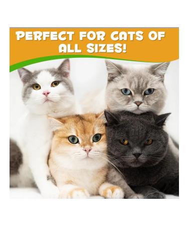 Oimmal Vitamins from allergies to increase immunity for cats - Buy Online on GoSupps.com