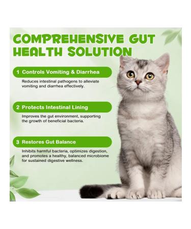 Oimmal Probiotics and prebiotics with enzymes 3 in 1 for cats - Buy Online on GoSupps.com