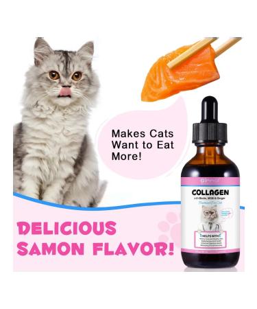 Oimmal Vitamins with collagen biotin MSM and ginger for cats - Buy Online on GoSupps.com