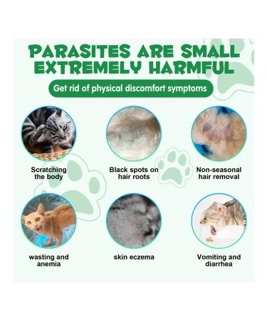 Oimmal Vitamins from parasites and worms with probiotics for cats - Buy Online on GoSupps.com