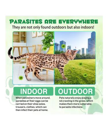 Oimmal Vitamins from parasites and worms with probiotics for cats - Buy Online on GoSupps.com