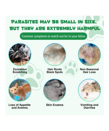 Oimmal Vitamins from parasites and worms with probiotics for cats - Buy Online on GoSupps.com