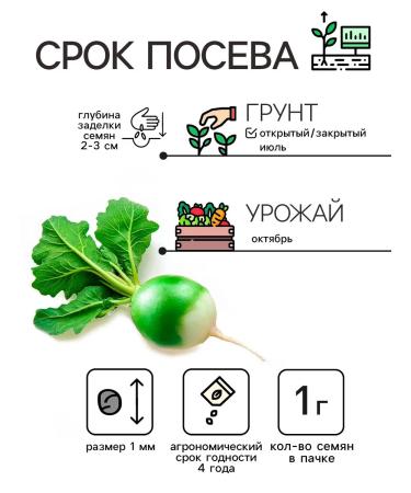 Grandpa Nikita's Recipes Radish seeds for sowing vegetables 1 g 3 packages - Buy Online on GoSupps.com
