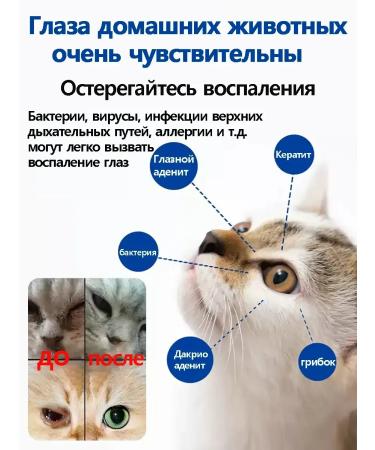 Drops for the eyes for cats and dogs 20 ml - Buy Online on GoSupps.com