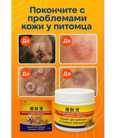 zozo Therapeutic ointment from itching for dogs and cats - Buy Online on GoSupps.com