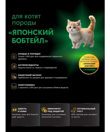 QUATTRO Feed for kittens of breeds Japanese bobtail with lamb 2 kg - Buy Online on GoSupps.com