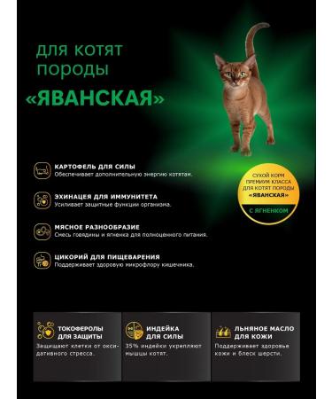 QUATTRO Feed for kittens of Javanese breed with lamb 2 kg - Buy Online on GoSupps.com