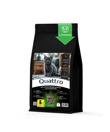 QUATTRO Feed for kittens of breeds Cartesian lamb 2 kg