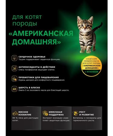 QUATTRO Feed for kittens American homemade lamb 2 kg - Buy Online on GoSupps.com