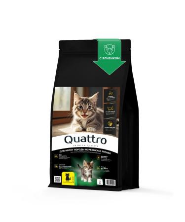 QUATTRO Feed for kittens of the Norwegian forest lamb 2 kg
