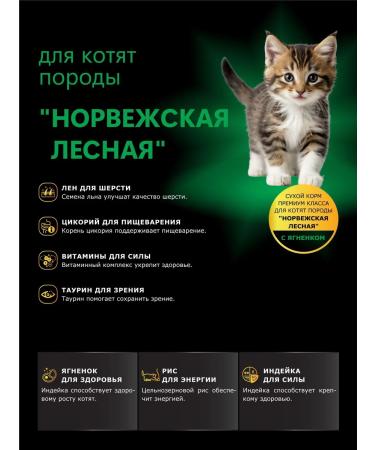 QUATTRO Feed for kittens of the Norwegian forest lamb 2 kg - Buy Online on GoSupps.com