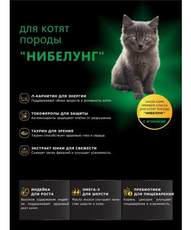 QUATTRO Feed for kittens of the Nibelung breed with lamb 2 kg - Buy Online on GoSupps.com