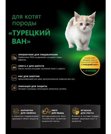 QUATTRO Feed for kittens of breed Turkish van with lamb 2 kg - Buy Online on GoSupps.com