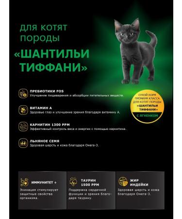 QUATTRO Feed for kittens of the rade of Shantille Tiffany with lamb 2 kg - Buy Online on GoSupps.com