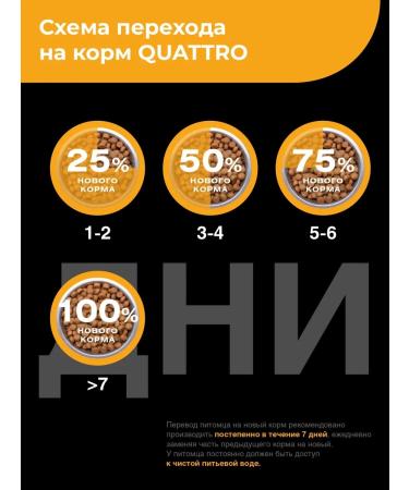 QUATTRO Feed for kittens of the Snow-shu rocks with turkey 2 kg - Buy Online on GoSupps.com