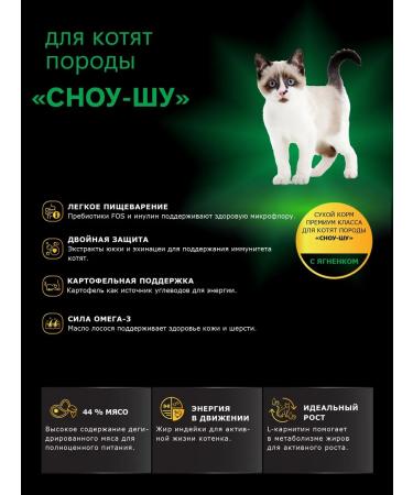 QUATTRO Feed for kittens of the Snow-shu rocks with lamb 2 kg - Buy Online on GoSupps.com