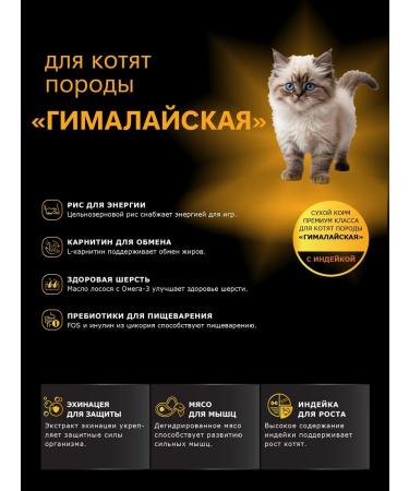 QUATTRO Feed for kittens of the Gimalayan breed with turkey 2 kg - Buy Online on GoSupps.com