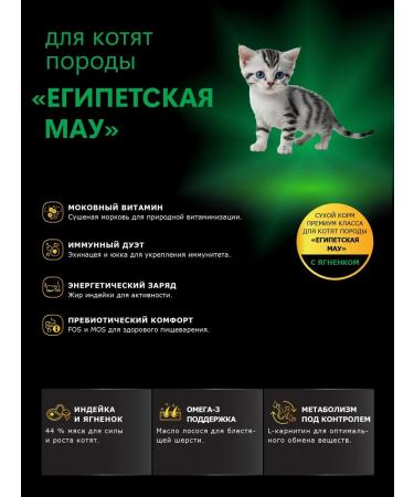 QUATTRO Feed for kittens of breeds Egyptian mau with lamb 2 kg - Buy Online on GoSupps.com