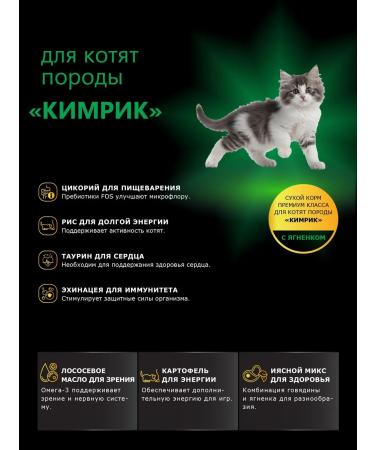 QUATTRO Feed for kittens of breed Kimrik with lamb 2 kg - Buy Online on GoSupps.com