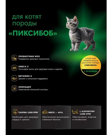 QUATTRO Feed for kittens of pixibob rocks with lamb 2 kg - Buy Online on GoSupps.com