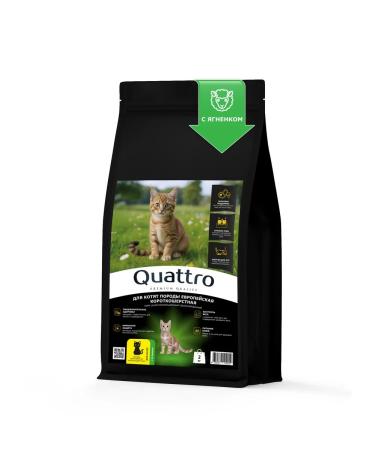 QUATTRO Kittens Feed European short -haired lamb 2 kg