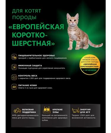 QUATTRO Kittens Feed European short -haired lamb 2 kg - Buy Online on GoSupps.com