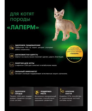 QUATTRO Feed for kittens of laperm rocks with lamb 2 kg - Buy Online on GoSupps.com