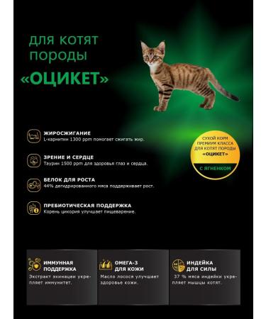 QUATTRO Feed for kittens of rocks OCIKETE with lamb 2 kg - Buy Online on GoSupps.com