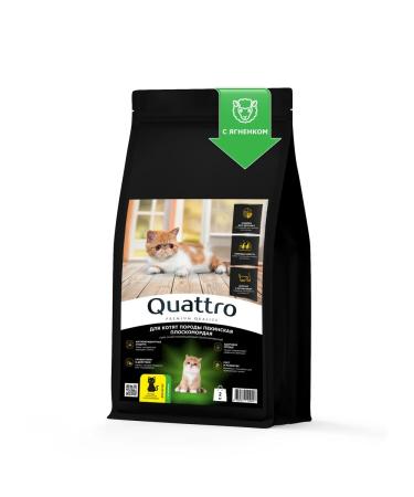 QUATTRO Feed for kittens of breeds of Beijing flat -hearted lamb 2 kg