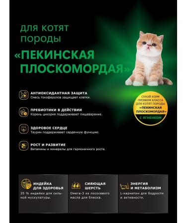 QUATTRO Feed for kittens of breeds of Beijing flat -hearted lamb 2 kg - Buy Online on GoSupps.com